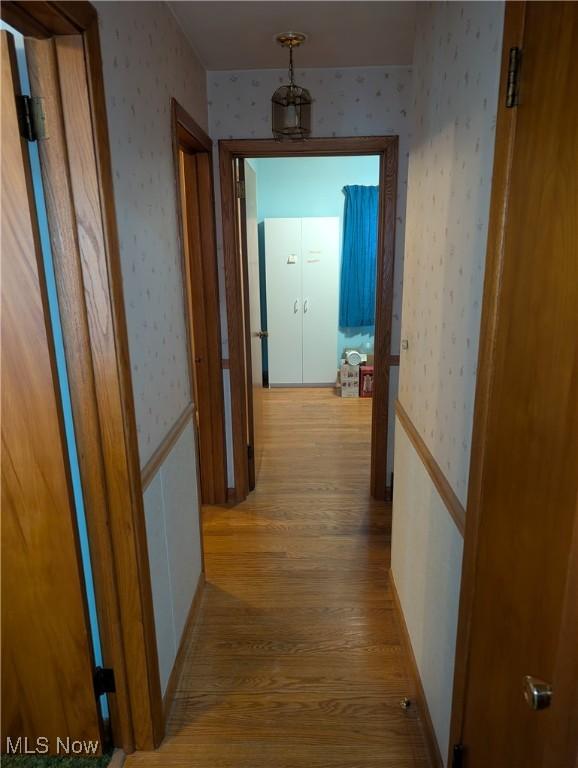 115 SW Spring St, Gnadenhutten, OH 44629 - corridor featuring wallpapered walls and wood finished floors