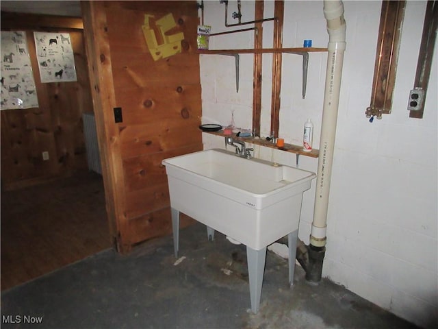 163 N Chestnut St, Linesville, PA 16424 - basement featuring concrete block wall and radiator heating unit