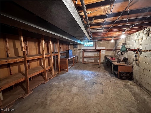 2325 Stewart Dr NW, Warren, OH 44485 - below grade area with a workshop area