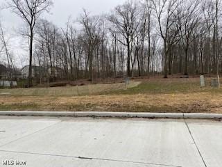 4138 Timber Trl, Medina, OH 44256
