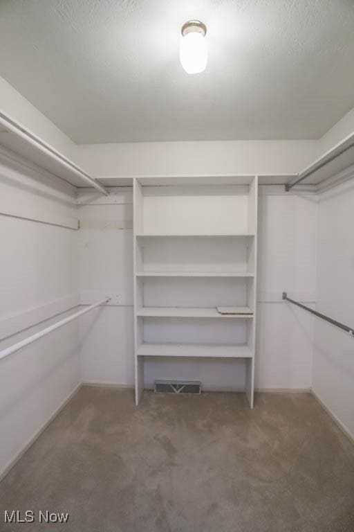 2410 Rohrer St NW, North Canton, OH 44720 - spacious closet with carpet floors