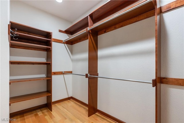 4953 Maclaren Ave NW, Massillon, OH 44646 - walk in closet with light wood finished floors