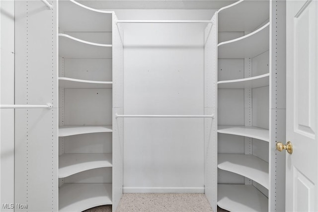 7284 Forest Cove Ln, Northfield, OH 44067 - view of spacious closet