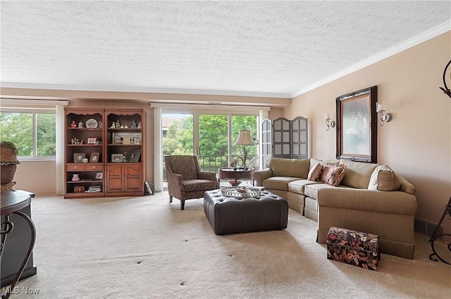186 Court Dr Unit 201, Fairlawn, OH 44333 - living room with light carpet, a textured ceiling, and ornamental molding