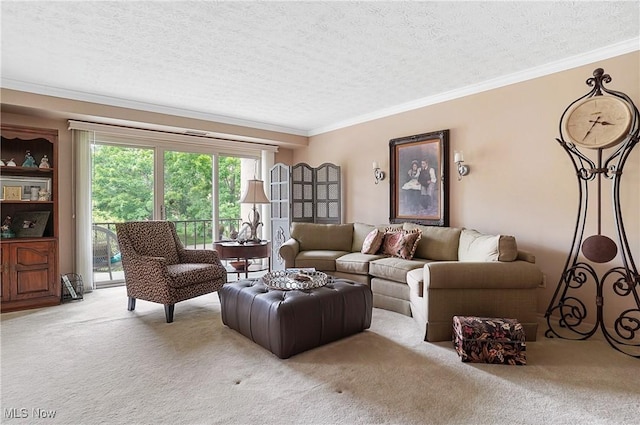 186 Court Dr Unit 201, Fairlawn, OH 44333 - living area featuring light carpet, a textured ceiling, and crown molding