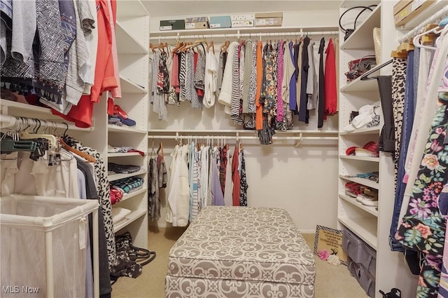186 Court Dr Unit 201, Fairlawn, OH 44333 - view of spacious closet