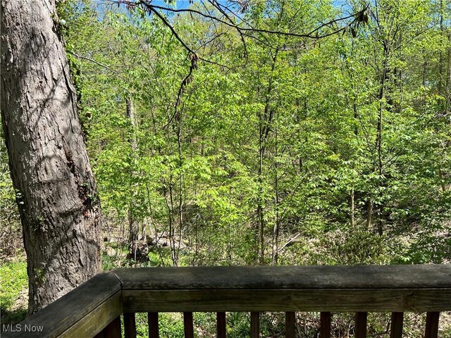 16215 Oakhill Rd, East Cleveland, OH 44112 - photo 6