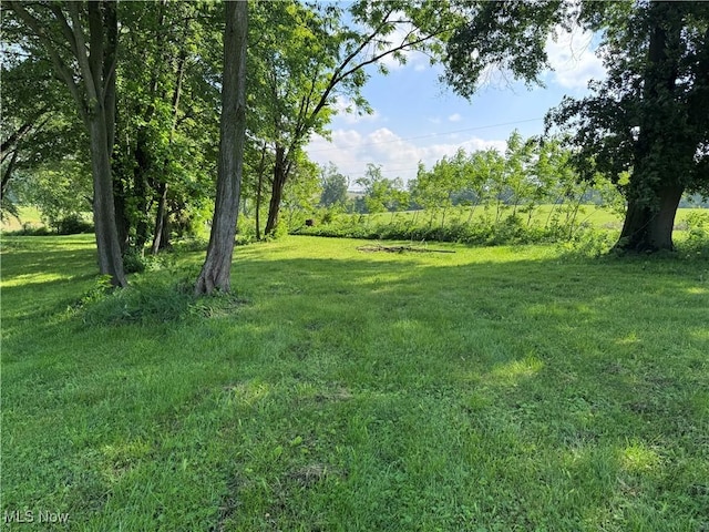 2187 State Route 550, Cutler, OH 45724 - view of green lawn