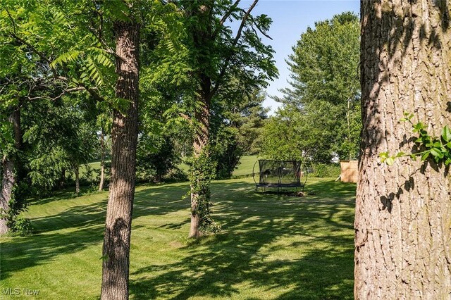 2187 State Route 550, Cutler, OH 45724 - view of green lawn with a trampoline