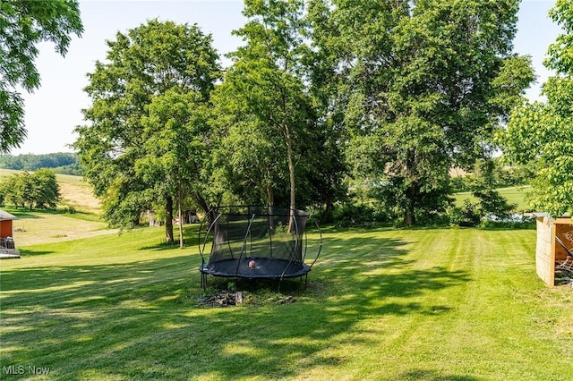 2187 State Route 550, Cutler, OH 45724 - view of grassy yard with a trampoline