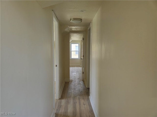 5200 Catherine St, Maple Heights, OH 44137 - hall featuring light wood-style flooring, baseboards, and a textured ceiling
