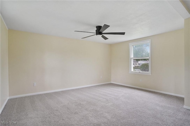 2405 Parkwood Dr NW, Warren, OH 44485 - photo 6