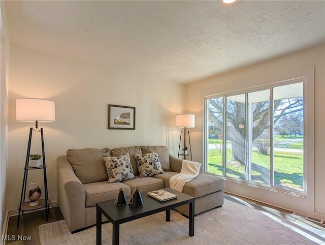 3509 Jerrold Blvd, Brunswick, OH 44212 - living room featuring light wood finished floors, a textured ceiling, and baseboards