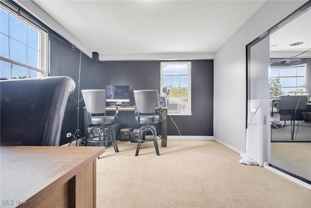 13800 Fairhill Rd Unit 418, Shaker Heights, OH 44120 - office with carpet floors and baseboards