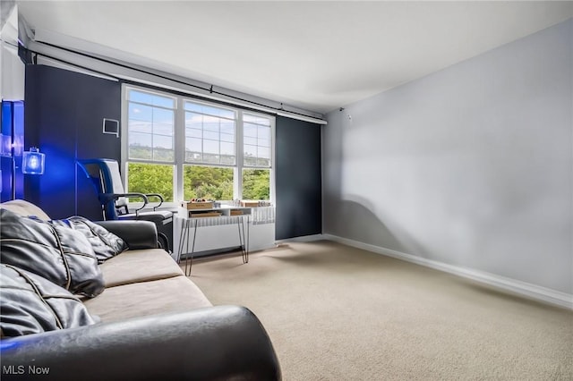 13800 Fairhill Rd Unit 418, Shaker Heights, OH 44120 - living room featuring carpet flooring and baseboards