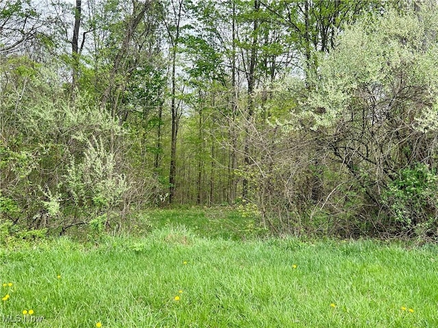 6550 N State Route 78 NE, Mcconnelsville, OH 43756 - photo 14