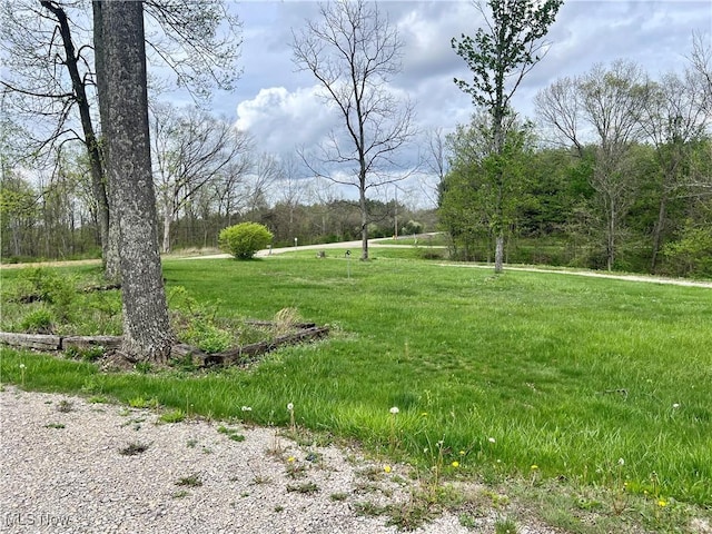 6550 N State Route 78 NE, Mcconnelsville, OH 43756 - photo 5