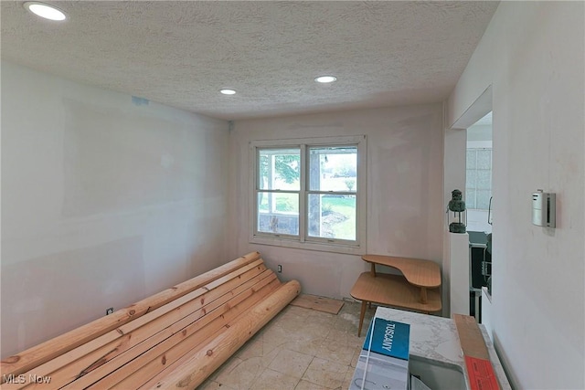 3407 State Route 113 E, Milan, OH 44846 - sauna featuring recessed lighting