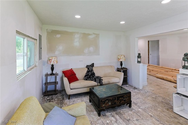 3407 State Route 113 E, Milan, OH 44846 - living room featuring recessed lighting and wood finished floors