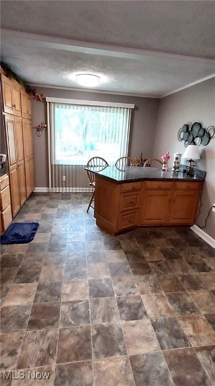 550 E Pleasant Valley Rd, Seven Hills, OH 44131 - kitchen with plenty of natural light, dark countertops, a peninsula, and baseboards