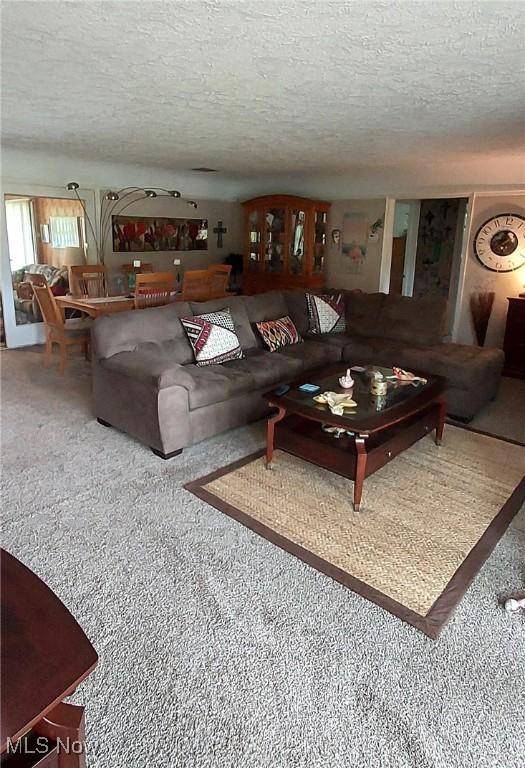 550 E Pleasant Valley Rd, Seven Hills, OH 44131 - carpeted living area featuring a textured ceiling