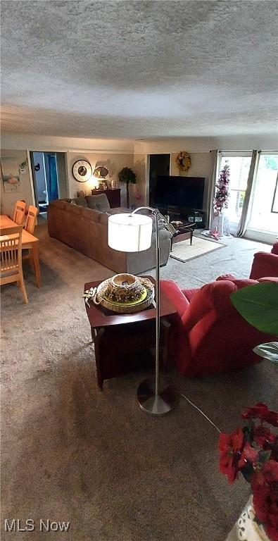 550 E Pleasant Valley Rd, Seven Hills, OH 44131 - living area with a textured ceiling and carpet floors