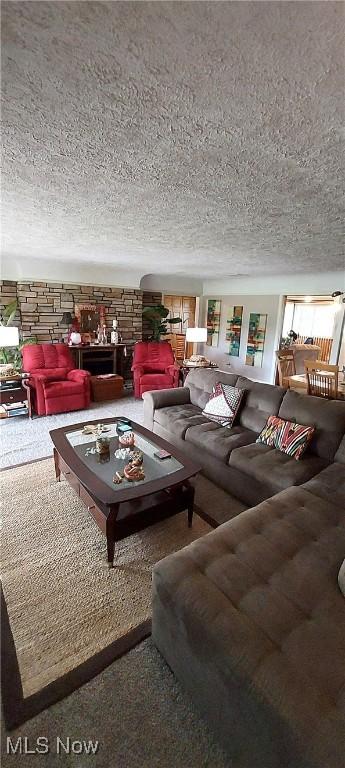 550 E Pleasant Valley Rd, Seven Hills, OH 44131 - living room with a textured ceiling and carpet