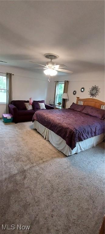 550 E Pleasant Valley Rd, Seven Hills, OH 44131 - carpeted bedroom featuring multiple windows and ceiling fan