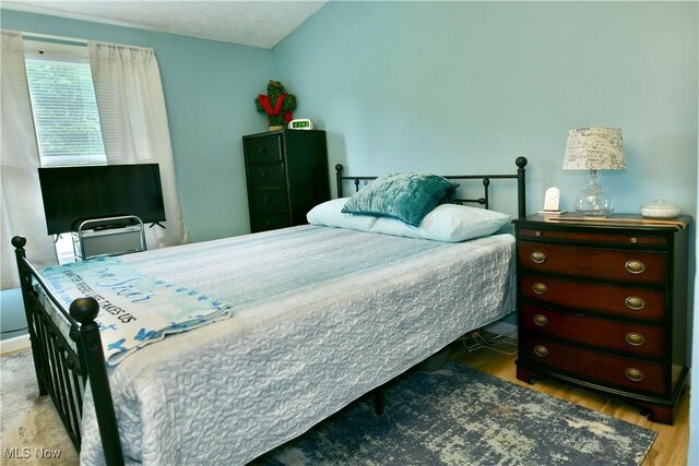 377 Henn Hyde Rd NE, Warren, OH 44484 - bedroom featuring wood finished floors