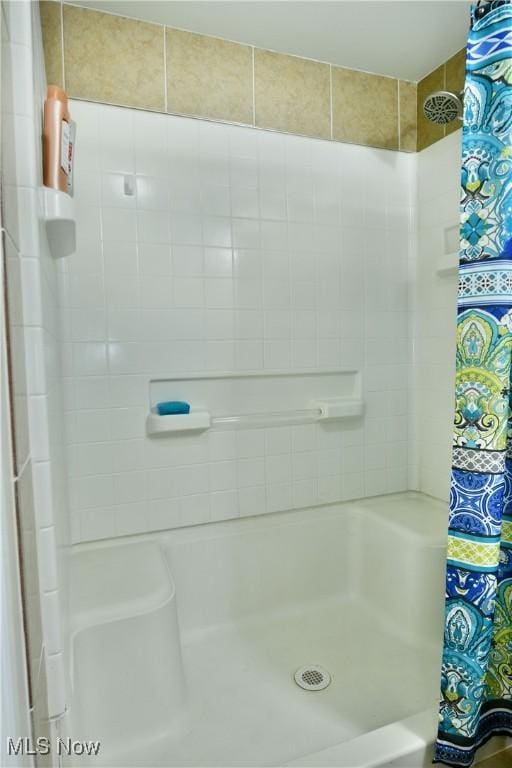 377 Henn Hyde Rd NE, Warren, OH 44484 - full bath with a shower with shower curtain