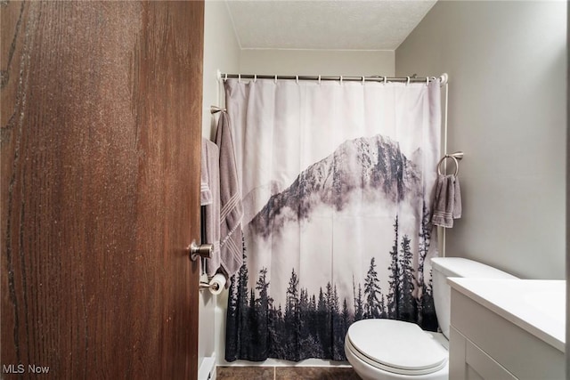 1298 Elberon Ave, Salem, OH 44460 - bathroom featuring vanity, toilet, curtained shower, and a textured ceiling