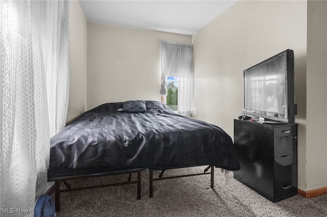917 Park Ave SW, Canton, OH 44706 - bedroom featuring carpet