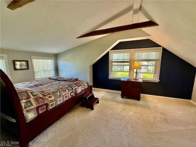 6911 Post Ln, Hudson, OH 44236 - view of carpeted bedroom