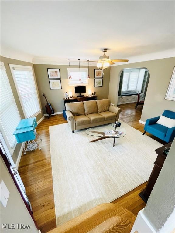 1630 Olivewood Ave, Lakewood, OH 44107 - living room with arched walkways, plenty of natural light, ceiling fan, and baseboards