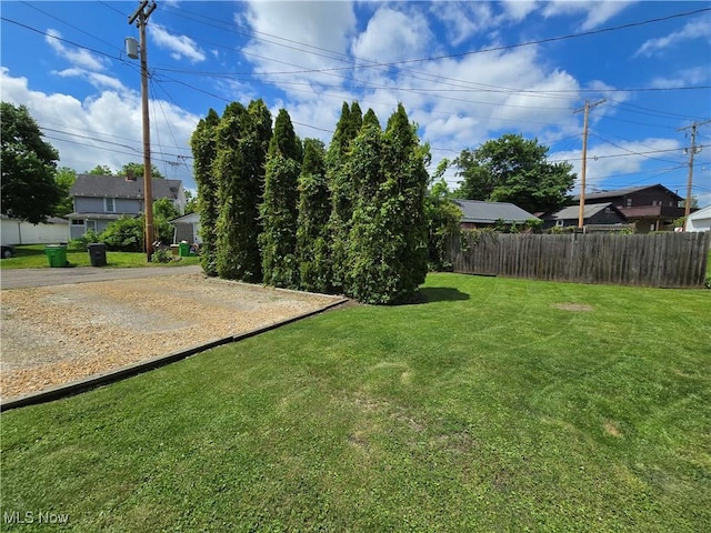 815 Denman Ave, Coshocton, OH 43812 - view of yard