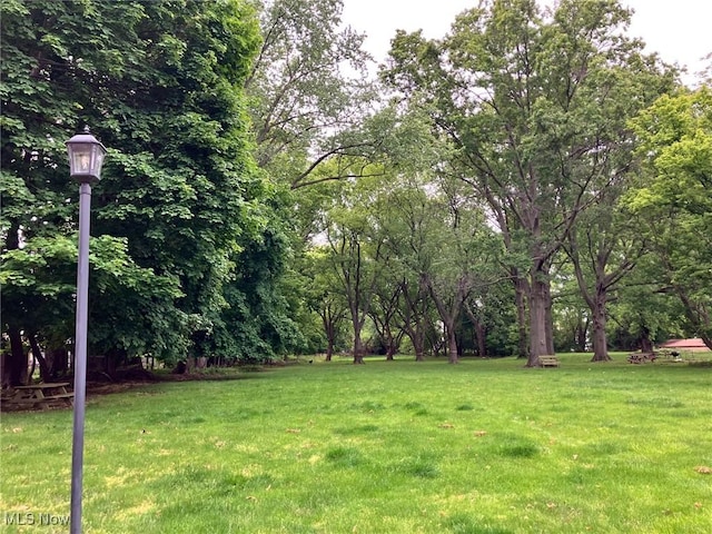 19510 Lorain Rd, Fairview Park, OH 44126 - view of green lawn
