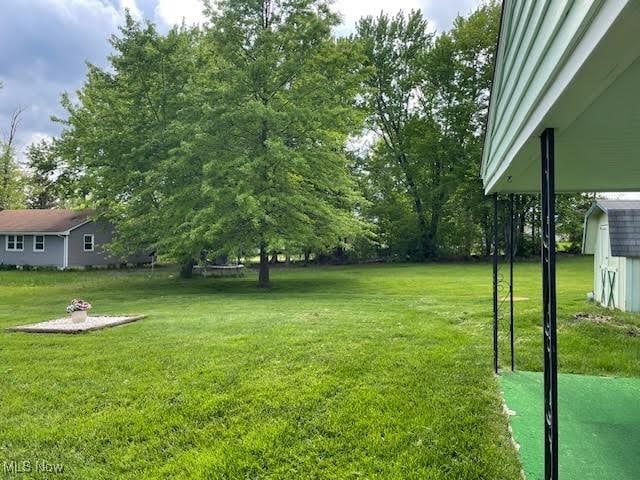 1148 Miami Ave, Youngstown, OH 44505 - view of green lawn