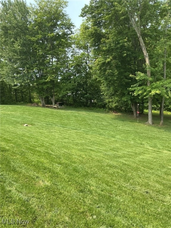 7030 Jones Rd, Nashport, OH 43830 - view of green lawn