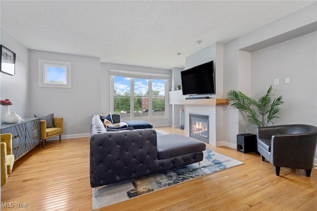 3128 E 135th St Unit 4, Cleveland, OH 44120 - living room featuring light wood-style floors, a glass covered fireplace, and baseboards