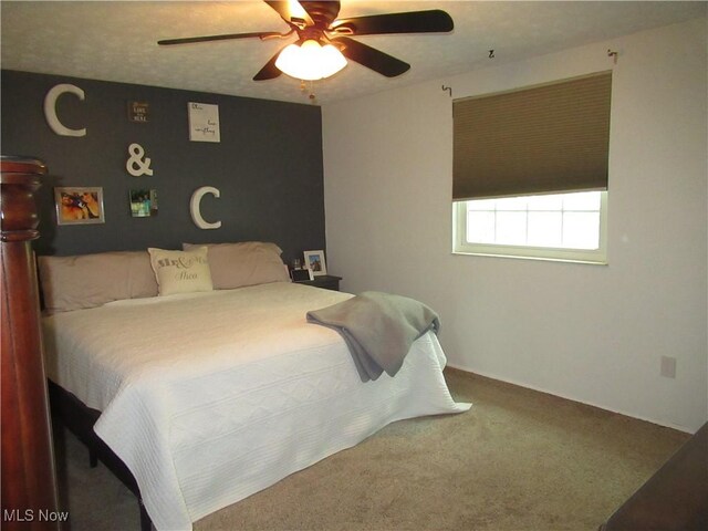 3137 Meanderwood Dr, Canfield, OH 44406 - photo 17