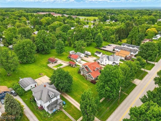 126 W Jefferson St, Jefferson, OH 44047 - aerial view of residential area featuring a heavily wooded area