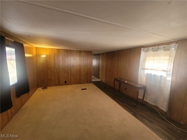 71 Rustic Ln, Apple Creek, OH 44606 - empty room featuring wood walls and wood finished floors
