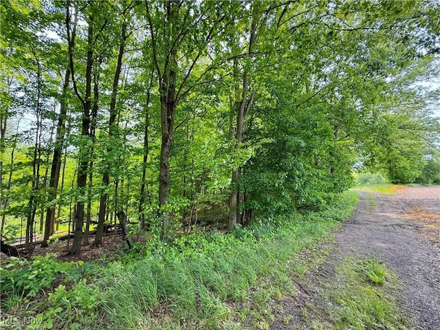 Snode St NE, Alliance, OH 44601