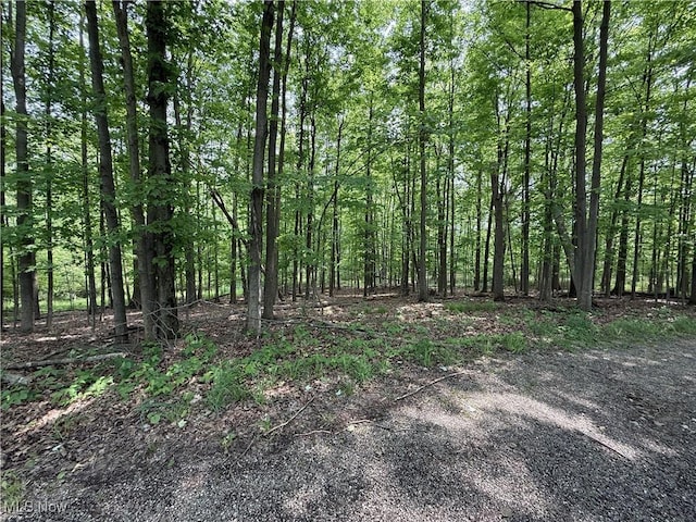 Snode St NE, Alliance, OH 44601