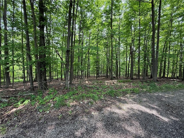 Snode St NE, Alliance, OH 44601