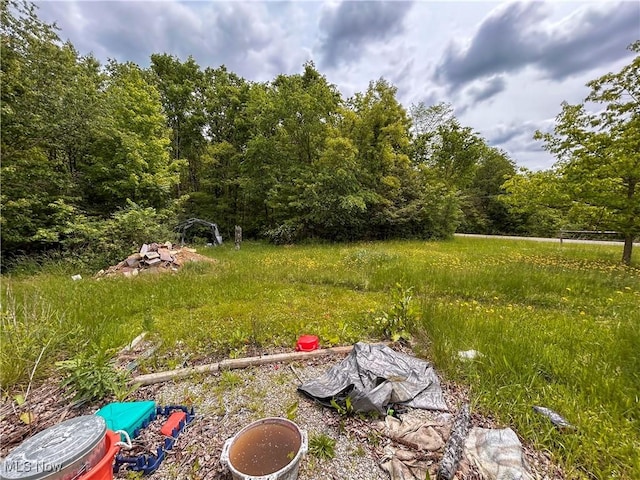 49722 Carmel Achor Rd, Rogers, OH 44455 - photo 34