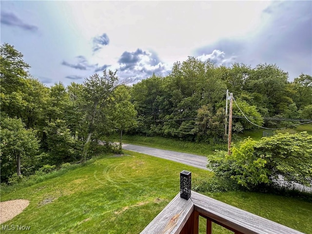 49722 Carmel Achor Rd, Rogers, OH 44455 - photo 20