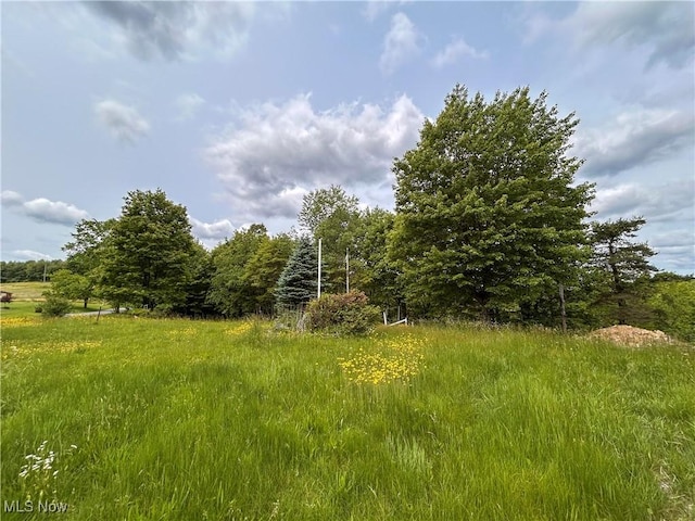 49722 Carmel Achor Rd, Rogers, OH 44455 - photo 22