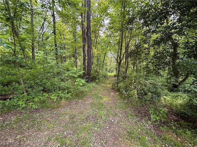 49722 Carmel Achor Rd, Rogers, OH 44455 - photo 23