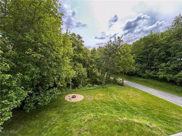 49722 Carmel Achor Rd, Rogers, OH 44455 - photo 26